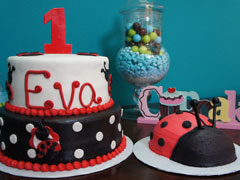 Lady Bug Smash Cake